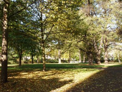 Der Park Schneidersgarten