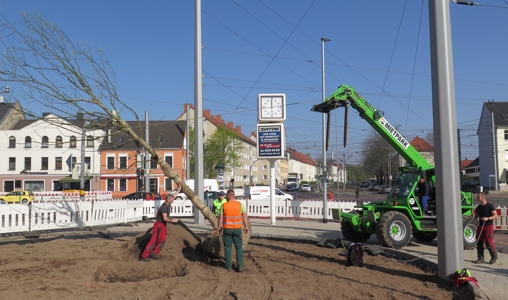 B_2018/2018_04_19_Schnurbaum_neu_w.jpg