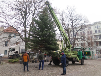 B_2018/2018_11_24_Stellen_Weihnachtsbaum_w.jpg