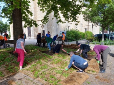 B_2022/2022_05_14_Ambrosiusplatz_begruenung_Baumscheiben.jpg