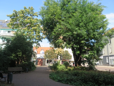 Lemsdorfer Weg 2 und 4